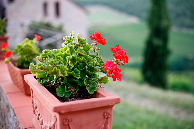 5 reasons to rent a villa in tuscany