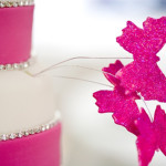 calling all bay area bakers!