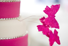 calling all bay area bakers!