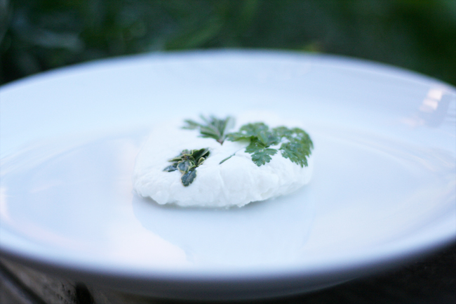 chevre! feta! mozzarella!