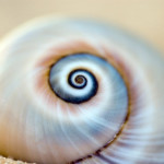 a "clean" start to the new year