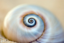 a "clean" start to the new year