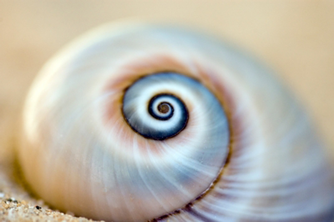 a "clean" start to the new year