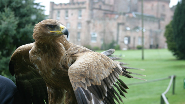dalhousie castle: get your harry potter on