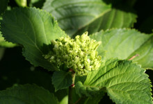 happy earth day... what are you doing?