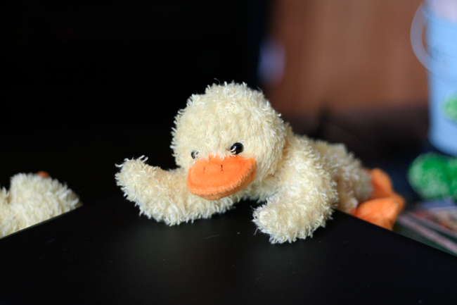 happy easter monday, chicks! (and dudes)