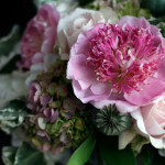 olive'd these, too (plus: mother's day flowers!!)