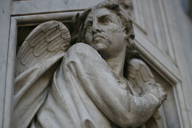 scenes from florence, italy