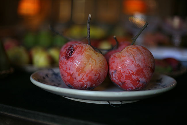 scenes from florence, italy