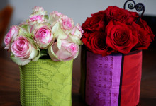 boy meets girl (meta-florically speaking)