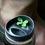 are you feeling lucky? (emersonmade giveaway)