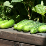 green, green goodness