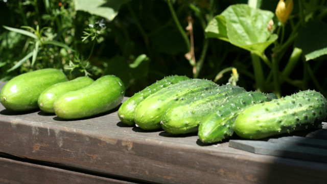 green, green goodness