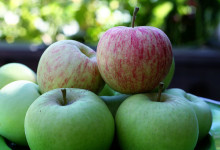 harvest walkabout: part one