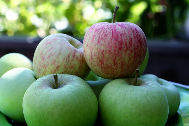 harvest walkabout: part one