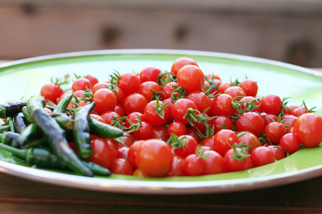 harvest walkabout: part one
