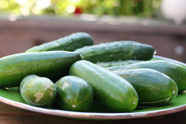 harvest walkabout: part one
