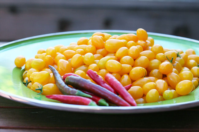 harvest walkabout: part one