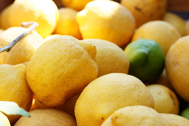 harvest walkabout: part one