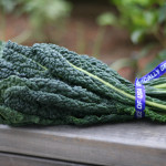 krazy for kale