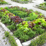 'dirt' now on both coasts!