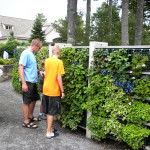 'dirt' now on both coasts!