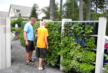 'dirt' now on both coasts!