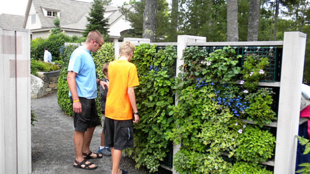 'dirt' now on both coasts!