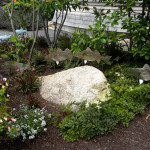 'dirt' now on both coasts!