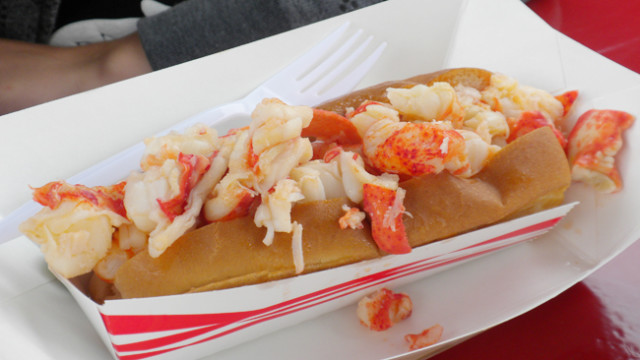 connecticut maine-iacs