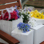 a 'something borrowed' bridal shower