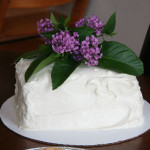a 'something borrowed' bridal shower