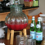 a 'something borrowed' bridal shower