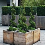 serious garden 'eye candy'