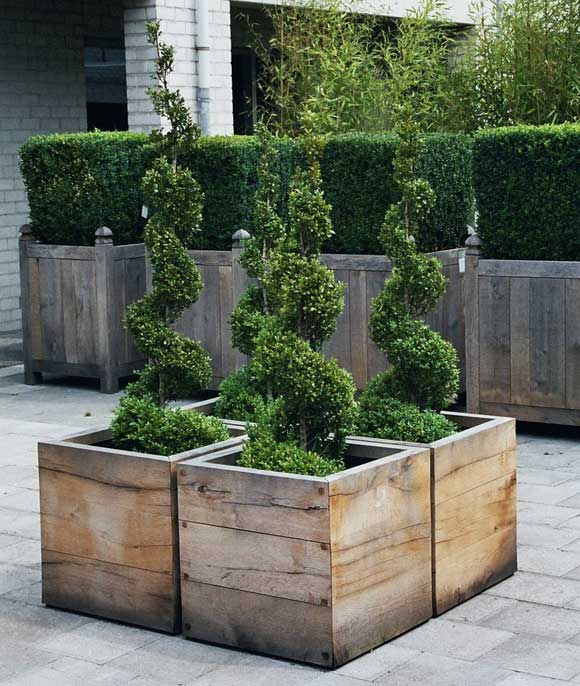 serious garden 'eye candy'