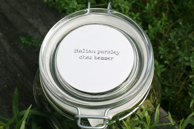 oven-drying herbs from the garden