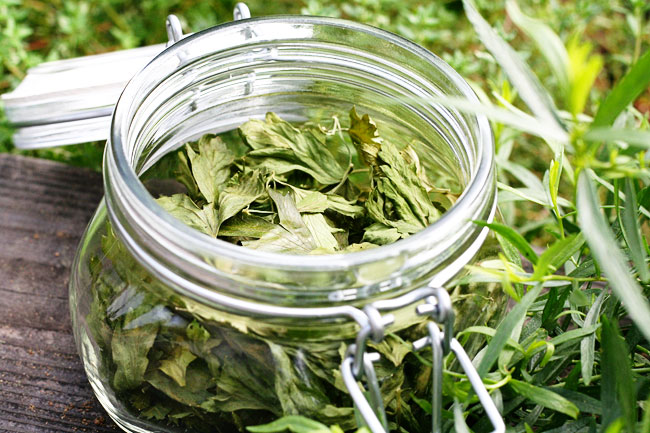 oven-drying herbs from the garden