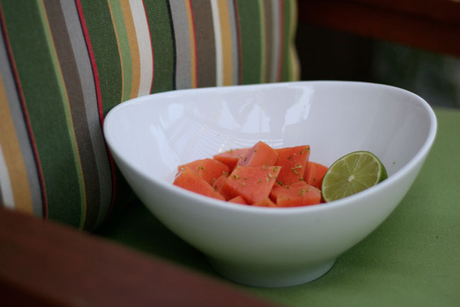 a taste of mexico