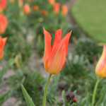 jumping back to paris...