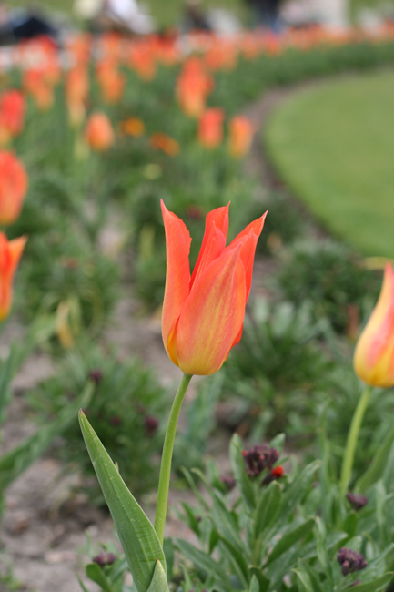 jumping back to paris...