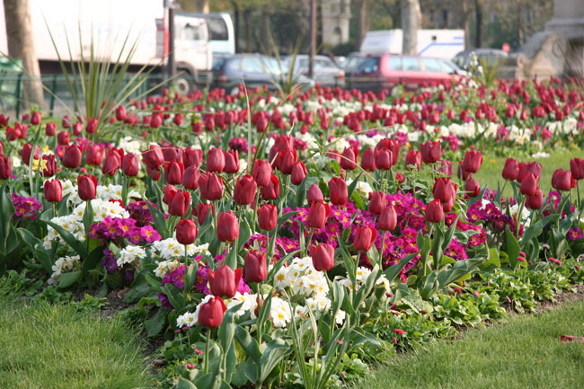 a year ago, I was in paris