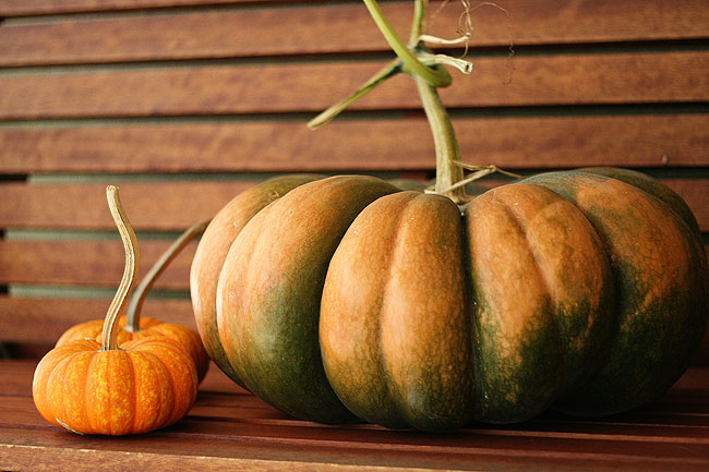 our fairytale pumpkins