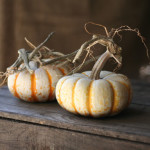 cinderella pumpkins, anyone?
