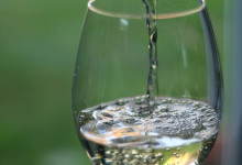 raise your glass (we raised $5k)