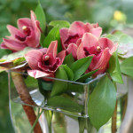 repurposing flower arrangements