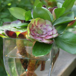 repurposing flower arrangements