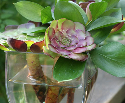 repurposing flower arrangements