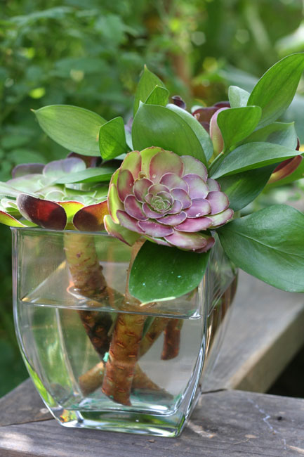 repurposing flower arrangements