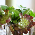re-repurposing flower arrangments