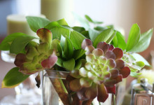 re-repurposing flower arrangments
